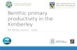 Benthic primary productivity in the Kimberley...Benthic primary productivity in the Kimberley DR RENAE HOVEY - UWA Acknowledgments WA State Government and WAMSI partners for supporting