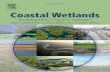 Coastal Wetlands: An Integrated Ecosystem Approach · 15 Ecosystem Structure of Tidal Saline Marshes Jenneke M. Visser1, Stephen Midway2, Donald M. Baltz2, Charles E. Sasser2 1Institute