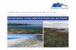 Sydney Coastal Councils Group ... resilience, coastal engineering, infrastructure and asset management, strategic and land use planning, biodiversity restoration and conservation,