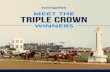 MEET THE TRIPLE CROWN - kentuckyderby.com€¦ · MEET THE TRIPLE CROWN WINNERS 6 Before a wildly jubilant crowd at Belmont Park, American Pharoah snapped a 37-year Triple Crown drought
