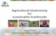 Agricultural biodiversity for sustainable livelihoodsBioversity International Alliance of CGIAR Centres “Improving lives through biodiversity research” Decentralized organization,