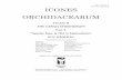  · ICONES ISSN 0188-4018 ISBN 968-7889-09-8 ORCHIDACEARUM Fascicle 8 THE GENUS EPIDENDRUM Part 5 "Species New & Old in Epidendrum" Eric Hágsater CONTRIBUTORS TO FASClCLE 8 Authors: