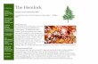 The Hemlock - Lock Haven 3.3.pdf · In a recently published book, Ecotherapy: Healing with Nature in Mind (Buzzell & Chalquist, 2009), psychotherapists are encouraged to consider
