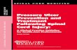 Pressure Ulcer Prevention and ... - Spinal Cord Injuries · Spinal Cord Injury. The initial clinical practice guideline for Pressure Ulcer Prevention and Treatment Following Spinal