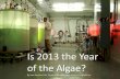 Is 2013 the Year of the Algae? - OriginClear · 2019-03-21 · L’Oreal . Farmacias Similares (Mex) Century Pharma (India) European Pharmaceuticals . 25 Million Dlls . 100 Million