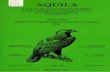 Aquila 102. évf. (1995.) - OSZKepa.oszk.hu/01600/01603/00033/pdf/Aquila_EPA-01603... · Rékási /., B. Jakab and L. Haraszthy (1995): Data on thefood of White Storks (Ciconia ciconia)
