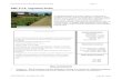 BMP 6.4.8: Vegetated Swale...Pennsylvania Stormwater Best Management Practices Manual Chapter 6 BMP 6.4.8: Vegetated Swale parabolic channel, densely planted with a variety of trees,