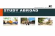 STUDY ABROAD · a portfolio of work before accepting applicants onto particular modules, for example Studio Art and Design. Language requirements Some applicants may be required to