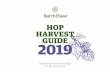 HOP HARVEST GUIDE 2019 - barthhaas.com · a key role in bringing hoppy aromas and flavors to beer. Different ... grass, ginger, tangerine, pomelo citrus banana, watermelon, honey-dew