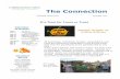 CHAMBER NEWSLETTER OCTOBER 2016 - Carrington · CHAMBER NEWSLETTER OCTOBER 2016 The Connection Calendar of Events Oct 9 The Big Sit Oct 11 Retail & Promotion Committee Meeting Oct