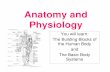 Anatomy and Physiology shorter...Anatomy and Physiology You will learn: The Building Blocks of the Human Body and The Basic Body Systems. Building Blocks of the Human Body ... scalp