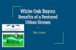 Benefits of a Restored White Oak Bayou: Urban Stream · 2016-11-29 · Relative Property Value: Buffalo vs WOB. Relative Property Value: North vs South WOB. Property Value Number