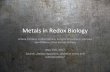 Metals’in’Redox’Biology’genomics.unl.edu/RBC_2017/COURSE_FILES/s2.pdfClassiﬁcaon’of’metal’transporters’ The’diﬀerenttransporters’can’be’grouped’into:’