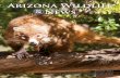 Arizona Wildlife · The Arizona Wildlife Federation welcomes stories, art and photographic contributions. We will consider, but assume no responsibility for unsolicited proposals,
