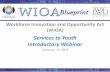 Services to Youth Introductory Webinar - New JerseyServices to Youth Introductory Webinar February 22, 2015. 2 First time GoToMeeting© Webinar users may wish to log-on early as it