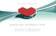 Organ Donation donor englis… · DONATION Transplantation of organs, tissues and cells has immense potential to save and improve lives. One organ donor can save up to eight lives.