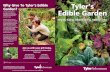 Why Give To Tyler’s Edible Tyler’s Garden? Edible Garden...hands-on gardening. You affirm life-giving relationships between people and nature, food and health, gardening and renewal.