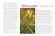 Weeds ways to · however, may not correct serious weed problems. Most weed species are not eaten by grazing animals as they choose more desirable plants for consumption. In heavily