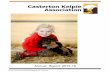 Casterton Kelpie Association · 2017-02-23 · ANNUAL REPORT 2015-16. President’s Report Karen Stephen President. Casterton Kelpie Association. The Casterton Kelpie Association