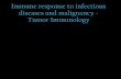 Immune response to infectious diseases and malignancy ... response to tumor.pdf · Tumor Immunology. Contents •Introduction to tumor •Immune surveillance •Tumor Escape , antigens