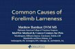 Common Causes of Forelimb Lameness · 2019-12-11 · Common Causes of Forelimb Lameness Matthew Barnhart DVM MS Diplomate American College of Veterinary Surgeons MedVet Medical &