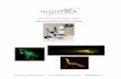 Stereo Microscope Fluorescence Adapter …...Stereo Microscope Fluorescence Adapter Education Applications 235 Bedford St., Lexington, MA 01730 USA tel: +1 781 791-9508 fax: +1 781