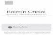 Buenos Airesboletinoficial.buenosaires.gob.ar/.../02/20160205.pdf · Boletín Oficial Gobierno de la Ciudad Autónoma de Buenos Aires Nº 2016-Año del Bicentenario de la Declaración