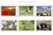 Les images réelles du lapin de printempsekladata.com/YdbzE1GemJjUHyXIFK0fLKfzn9o.pdf · Les images réelles du lapin de printemps ! des coquelicots un pic-vert (ou pivert) des marguerites