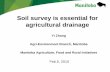 Soil survey is essential for agricultural drainage · Agricultural drainage Design Installation Monitoring Evaluation Maintenance How to achieve drain soundly planned and designed