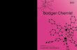 Badger Chemist - UW-Madison Chemistry · chemistry and life science. The JCE entry in the chemistry category of the 11th Edition was the Chemistry Comes Alive! Series. The prize consisted