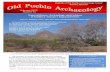 Natural History, Archaeology, and Cultures of Southern ......Natural History, Archaeology, and Cultures of Southern Arizona’s Ironwood Forest Royce E. Ballinger, Ph.D., Allen Dart,