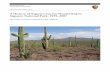 A History of Saguaro Cactus Monitoring in Saguaro National ...A History of Saguaro Cactus Monitoring in Saguaro National Park, 1939–2007 Natural Resource Report NPS/SODN/NRR—2009/093