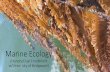 Marine Ecology - Ecology of Marine Species is a comprehensive examination of species which are central