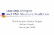 Stacking Energies and RNA Predictionwangj/rna/slides/Adrian2008.pdf · Importance of Stacking Energies in RNA Structure Prediction In nature, compounds try to achieve maximum stability.