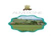 AUVERGNE - Agriculture...Auvergne. Cette journée, co-organisée par la DRAAF Auvergne et la Chambre Régionale d’Agriculture d’Au-vergne, visait à informer les acteurs et animateurs
