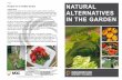 Page 8 Recipes for a Healthy Garden NATURAL ALTERNATIVES ... · Many easily grown herbs can be used as natural insect repellents. Try to find Balm of Gilead, Citronella or Lemon Balm.