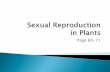 Sexual Reproduction in Plants - kingcorbinscience.weebly.comkingcorbinscience.weebly.com/.../7/39670590/ppt11_sexual_repro_pl… · The products of sexual reproduction in plants Angiosperms