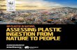 No pLAStIc IN NAture: ASSeSSINg pLAStIc INgeStIoN from …d2ouvy59p0dg6k.cloudfront.net/downloads/plastic... · 2019-06-11 · 6 No Plastic in Nature: Assessing Plastic Ingestion