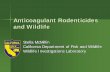 Anticoagulant Rodenticides and Wildlifeproducts with brodifacoum in re-evaluation based on 58 cases of exposure. ...
