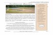 SC DHEC Stormwater BMP Handbook Sediment Basins• Shape: Sediment basins should be designed to maximize the flow length between the basins’ inlets and outlets. To accomplish this,