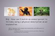 ANIMALS AND THEIR BABIES - iblog.dearbornschools.org · ANIMALS AND THEIR BABIES SKL2. Students will compare the similarities and differences in groups of organisms. d. Match pictures