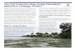 The San Francisco Bay Living Shorelines: Nearshore ......Develop best practices for pilot projects to create living shorelines. 1. Explore the integration of upland, intertidal, and