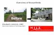 Overview of Brownfields of Brownfields.pdf · Overview of Brownfields Elizabeth Limbrick, LSRP New Jersey Institute of Technology (NJIT) What is a Brownfield? “Real property, the
