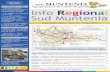 Buletin Informativ nr. 332 /10 - 16 iulie 2017 · Sud Muntenia Buletin Informativ nr. 332 /10 - 16 iulie 2017