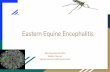 Eastern Equine Encephalitis - IPPSR · "Eastern equine encephalitis virus in the United States, 2003–2016." The American journal of tropical medicine and hygiene 98.5 (2018): 1472-1477.