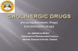 mpathomimetic Drugs) · Parasy mpathomimetic Drugs) Chol inomimetic Drugs Dr. DHEERAJ BISHT. Department of Pharmaceutical Sciences Bhimtal, Kumaun Univesity, Nainital