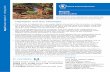 Nepal: Earthquake - World Food Programme · 2017-12-20 · 5 Nepal: Earthquake In numbers 8,604 deaths (total from both earthquakes) 3,834 male, 4,726 female (44 unidentified) 8 million