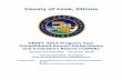 County of Cook, Illinoisblog.cookcountyil.gov/.../Final-Draft-2013-CAPER.pdf · - Community Development Block Grant (CDBG) - Emergency Solutions Grants (ESG) ... Des Plaines, Evanston,