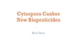 Cytospora Canker New Biopesticides · Biopesticides Microbial pesticides (formed from bacterium, fungus, virus or protozoan) Biochemical pesticides (naturally occurring substances,