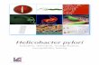 Helicobacter pylori - Liofilchem · 2017-09-15 · Helicobacter pylori Susceptibility testing MIC Test Strip is a quantitative assay for determining the Minimum Inhibitory Concentration